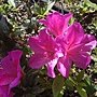 IMG_20170207_135219.jpg