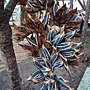 IMG_20170207_150555.jpg
