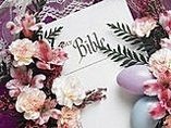 Holy Bible  flowers 聖經wallpaper4god com.jpg
