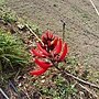 IMG_20170207_150346.jpg