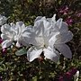 IMG_20170207_135105.jpg