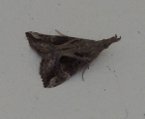 DSCN4608