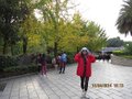 IMG_3773.JPG