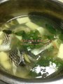 2013-08-29 吳郭魚湯