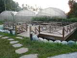 嘉義市-蘭潭休閒農場-3.jpg