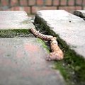 PICT0152.JPG