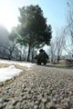 DSC_0788.JPG