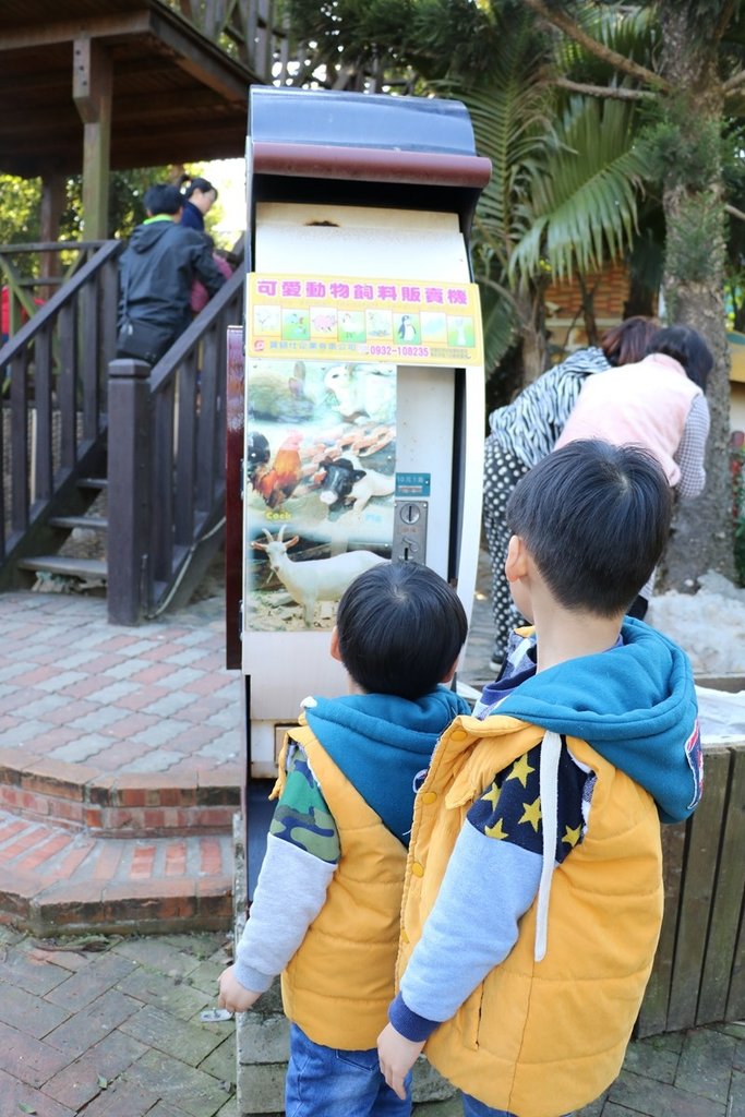 ▌桃園景點▌帶小孩餵羊咩咩、草泥馬，還有森林小火車叭叭叭。羊世界教學休閒牧場／勇伯臺灣羊餐廳