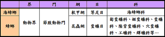 未命名.png