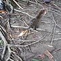 DSC00715