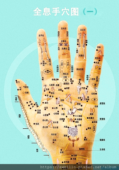 健康養生分享● 超珍貴的全息手穴圖