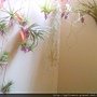 IMAG0887.jpg