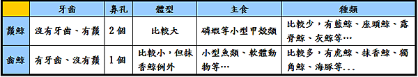 未命名.png