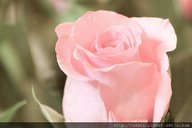 IMG_0624.jpg