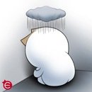 onion (69)