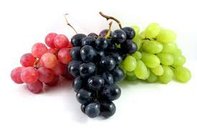 「grapes」的圖片搜尋結果