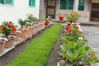 IMG_1450.JPG