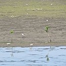 IMG_2894.JPG