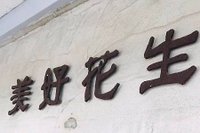 美好花生_01.jpg