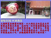 苗栗29-大湖酒莊.jpg