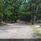 20140911天橋立 (4).jpg