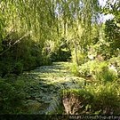 20140913 (26).JPG