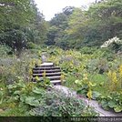 20140917 (86).JPG