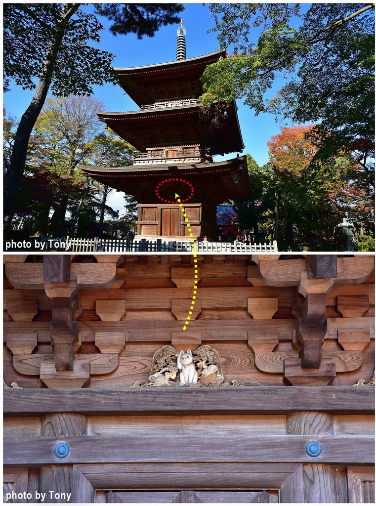 豪德寺16.jpg