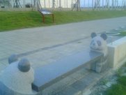 06.jpg