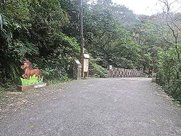 草嶺古道203.JPG