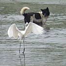 IMG_3197.JPG