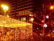 IMG0098A.jpg