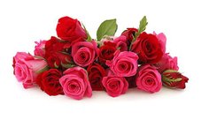 flowersngiftonlien-45.jpg