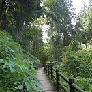 20140914 (50).JPG