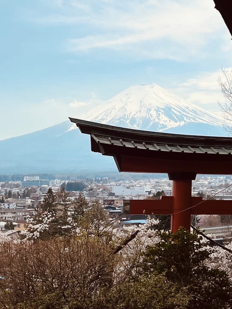 【2023東京】坐富士回遊和富士山的近距離接觸