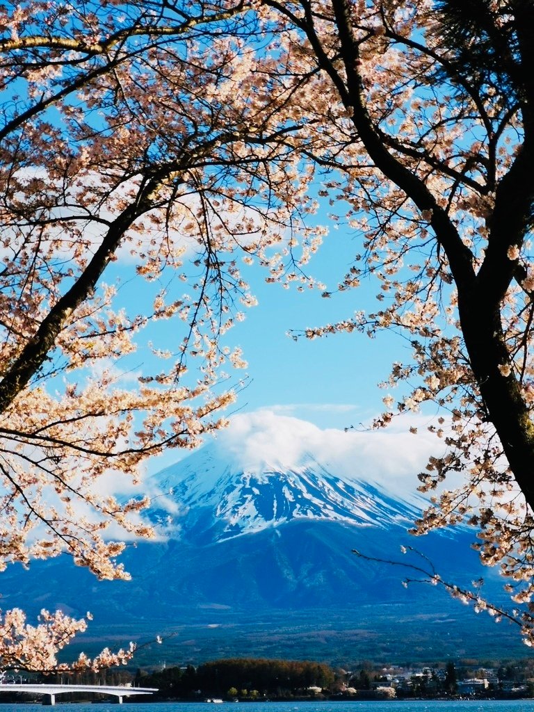 【2023東京】坐富士回遊和富士山的近距離接觸