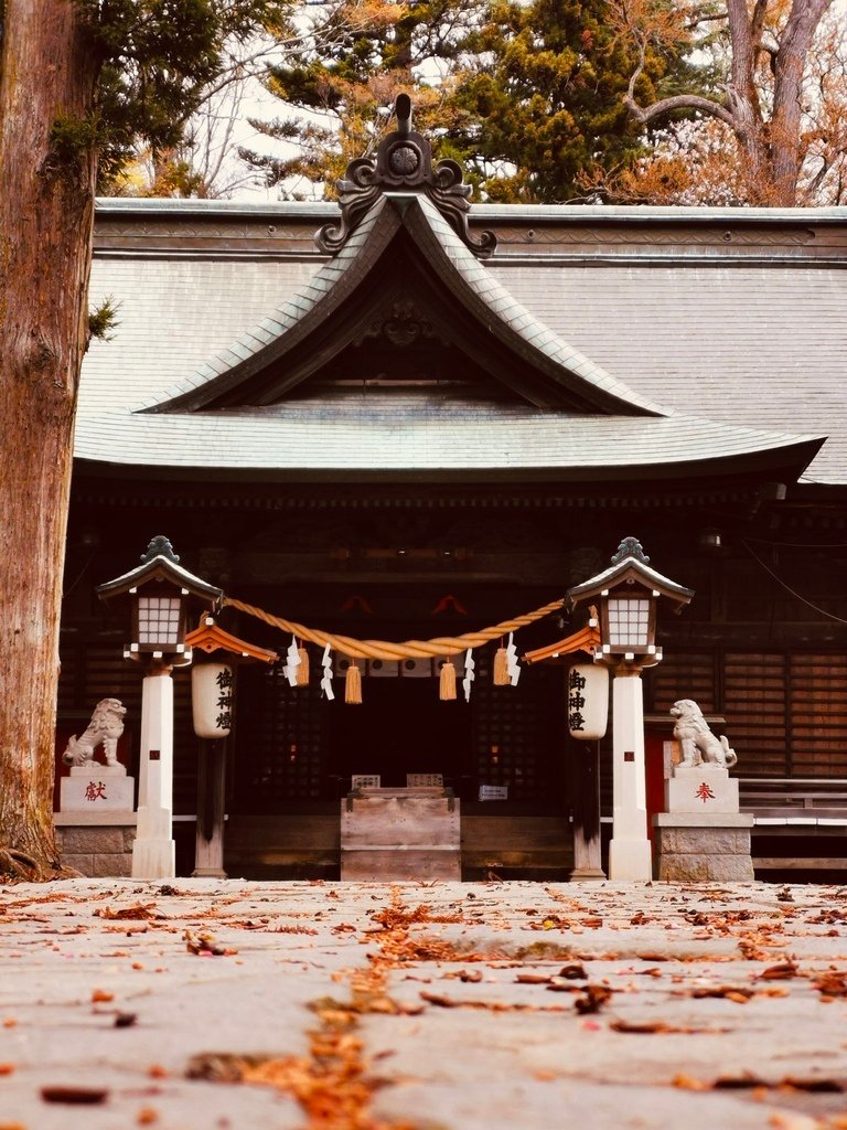 【2023東京】坐富士回遊和富士山的近距離接觸