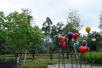 DSC09151.JPG