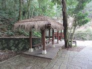 樟樹步道601IMG_3011.JPG