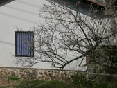 好喜歡這張~