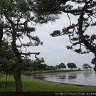 P1030855.JPG
