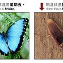 週一與週五-6.jpg