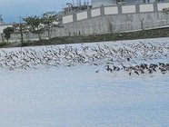 IMG_4654.JPG