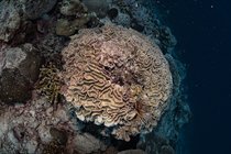 20190717_HOUSEREEF-23.jpg