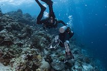 20190717_HOUSEREEF-42.jpg