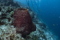 20190717_HOUSEREEF-47.jpg