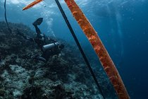 20190717_HOUSEREEF-49.jpg