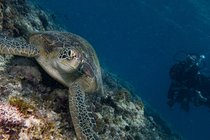 20190717_HOUSEREEF-79.jpg