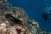 20190717_HOUSEREEF-80.jpg