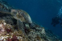 20190717_HOUSEREEF-78.jpg